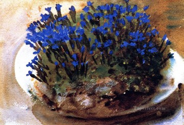  blue Oil Painting - Blue Gentians John Singer Sargent